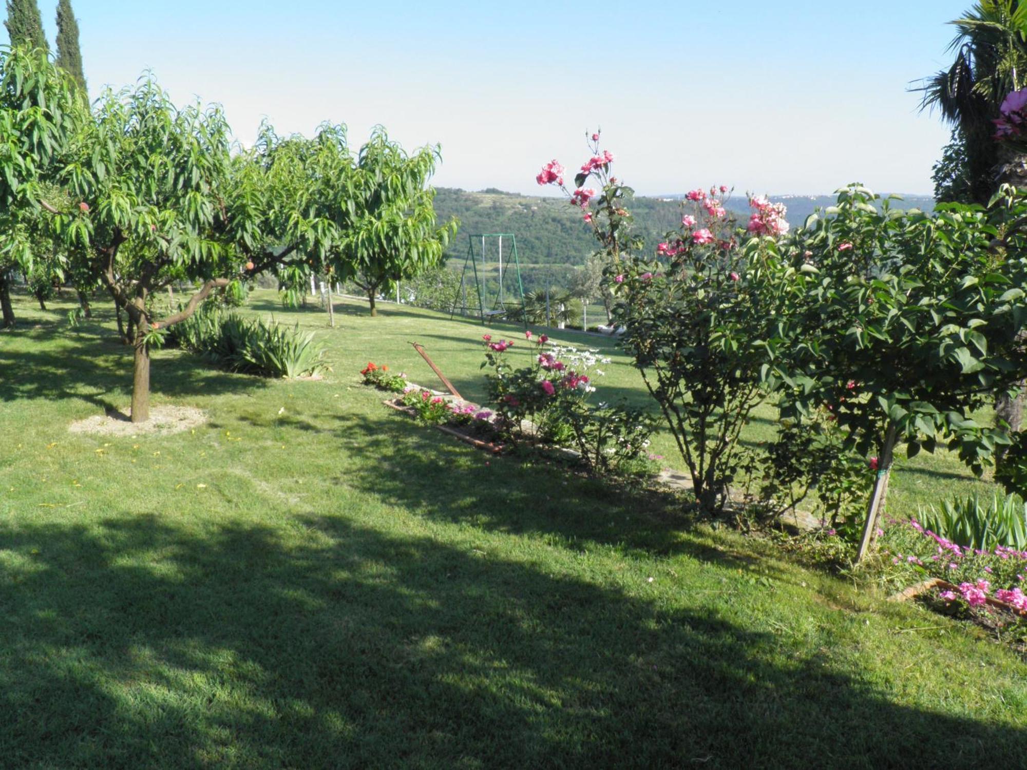 Apartments Cipresa ปอร์โตรอซ ภายนอก รูปภาพ